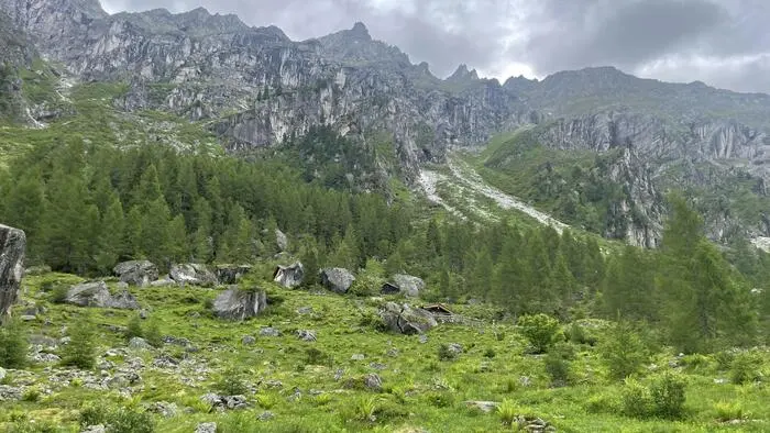 Man sieht Berge und Almen