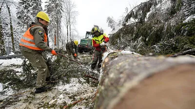Pioniere machen den Weg frei