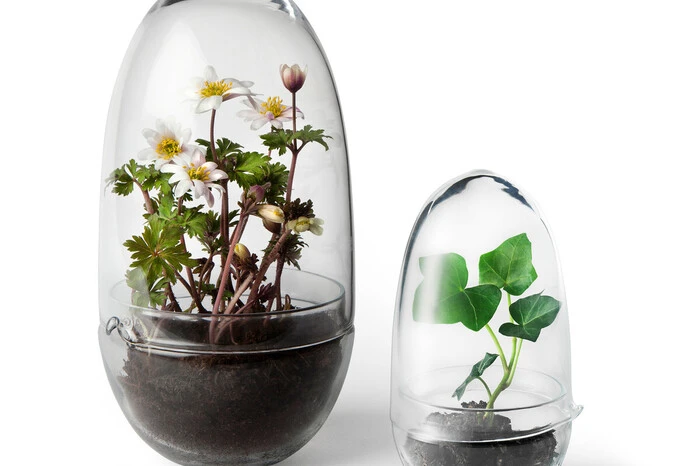Mini-Gewächshaus. „Grow“ besteht aus zwei Glasteilen. In den unteren Teil wird die Erde eingefüllt, der obere umhüllt die Pflanze. Letzterer kann abgenommen und als Gießkanne mit Ausgießer verwendet werden. Das Gewächshaus gibt es in mehreren Größen - unter connox.de  