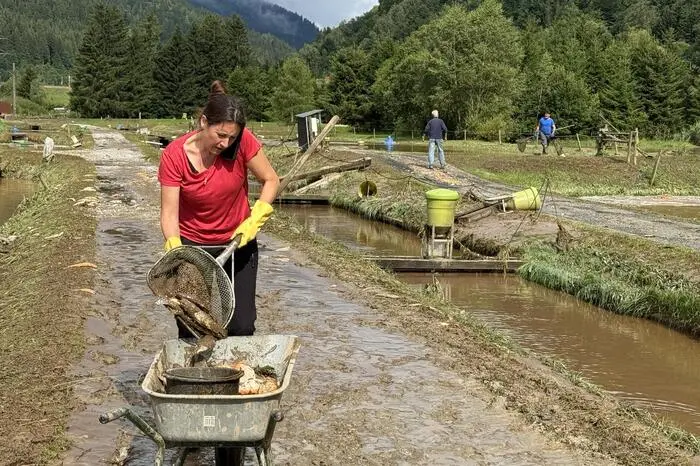 Millionenschäden bei der Fischzucht Igler