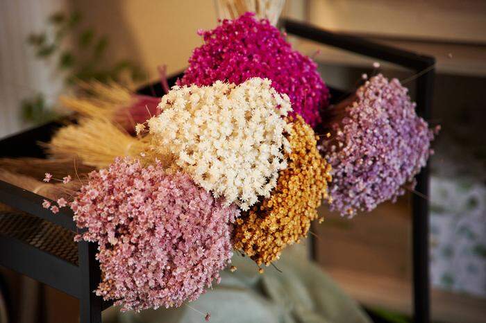 Geschenke, als Deko oder auf Kerzen geklebt - Trockenblumen sind für alles zu haben