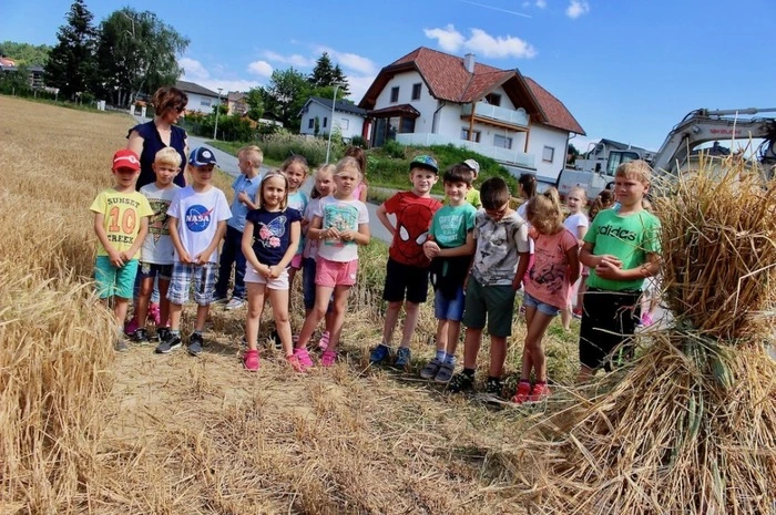 Das gebundene Getreide wurde Reihe um Reihe zu lustigen "Troad-Mandln" aufgeschichtet.