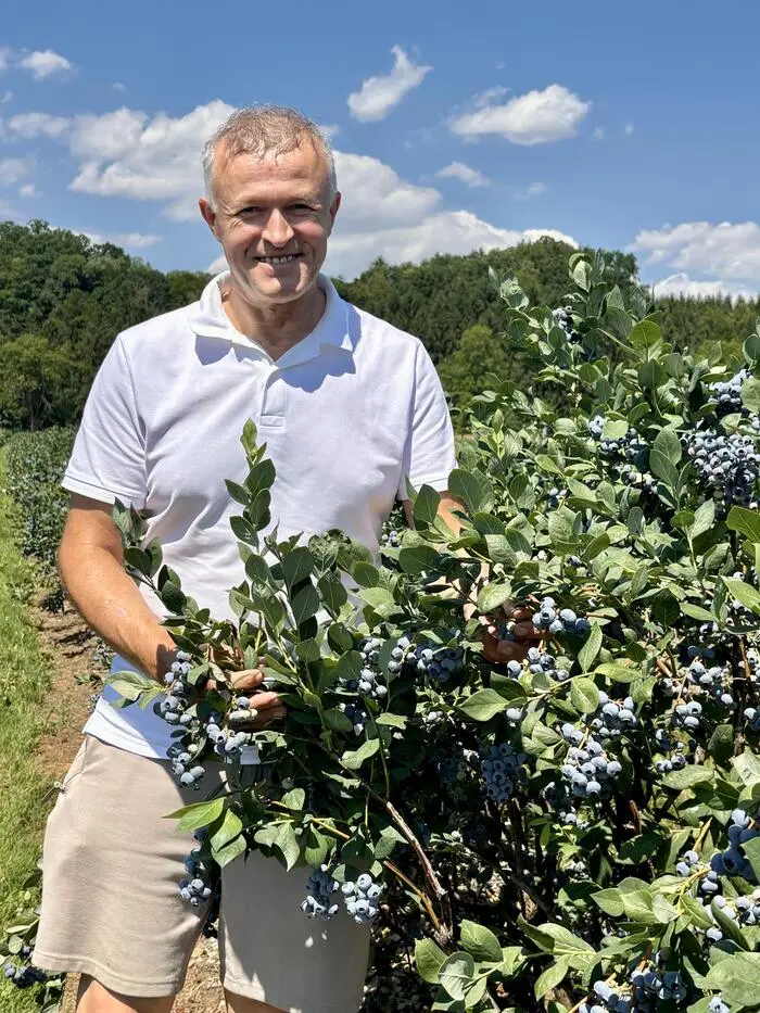 Jörg Grinschgl bewirtschaftet gemeinsam mit seiner Frau Marianne knapp 3,7 Hektar Heidelbeeren in Frauental