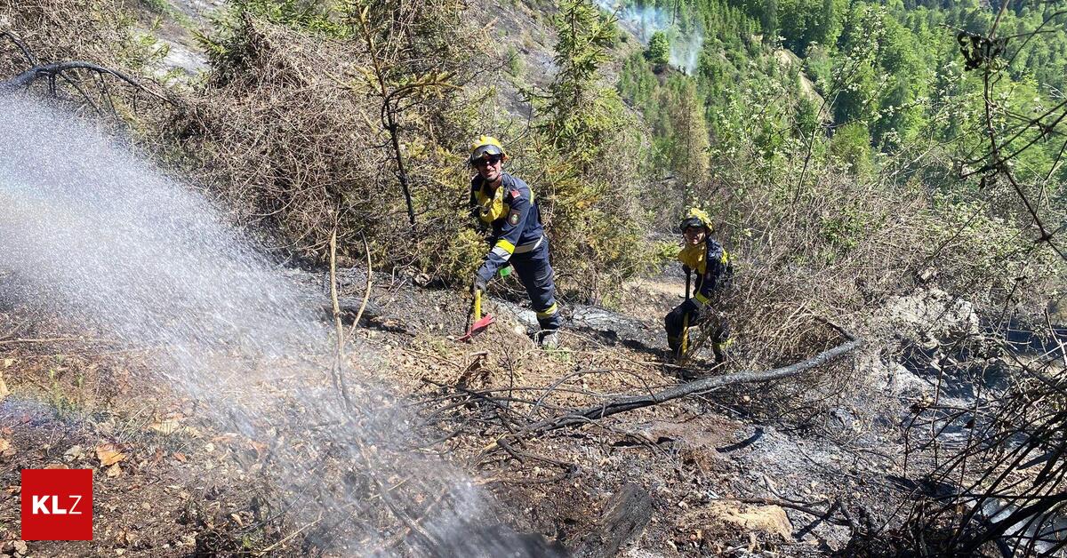 Waldbrand-in-Eisbach-Rein-70-Hektar-betroffen-weitere-Br-nde-lodern