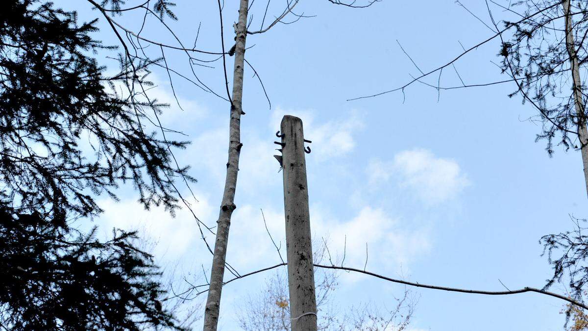 Der Masten hielt trotz der Schlägerungen, die Telefonkabeln fehlten