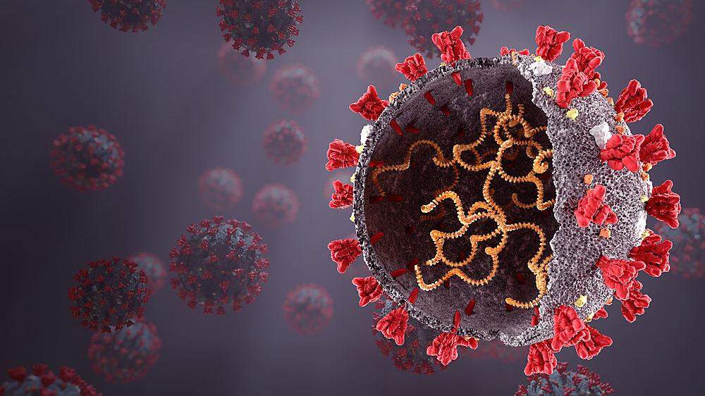 118 Personen sind im Bezirk Leoben aktuell am Coronavirus erkrankt 