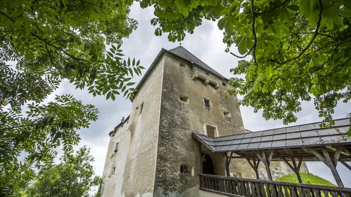 Burg Mannsberg befindet sich in der Gemeinde Kappel am Krappfeld, im Bezirk St. Veit an der Glan.