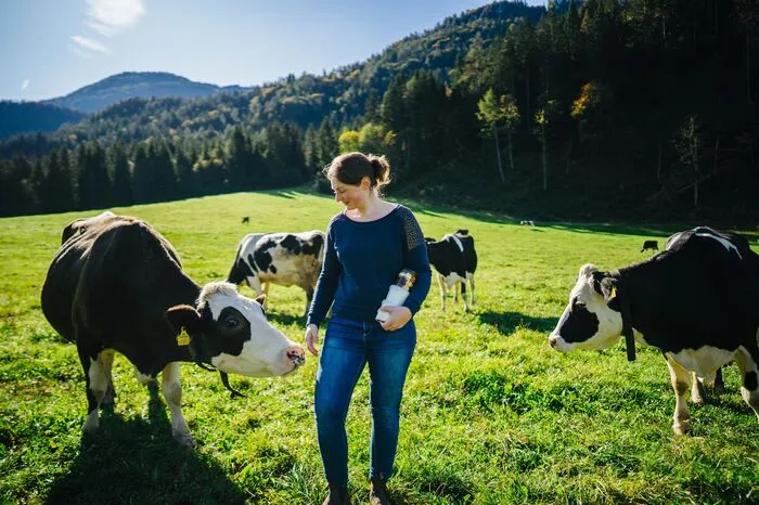 Was tun, wenn die Mama Lust auf Süßes hat? Man erfindet einen Topfentraum! So ist die Süßspeise „Topfentraum“ von Birgit und Elisabeth Mosser am Binterhof in Berg im Drautal entstanden. Bei den Kunden am Spittaler Wochenmarkt ist er stets höchst begehrt. Ein Klecks Marmelade gibt Abwechslung. Und das bescherte Elisabeth Mosser jetzt gleich dreimal Gold: Mit den Topfenträumen Schwarzwälder-Kirsch, Apfel-Zimt und Schwarze Ribisel räumte sie in Wieselburg ganz groß ab.