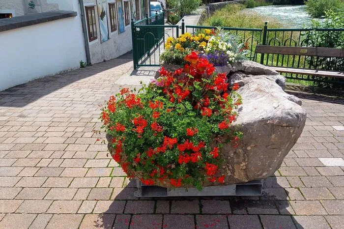 Fünf Floras