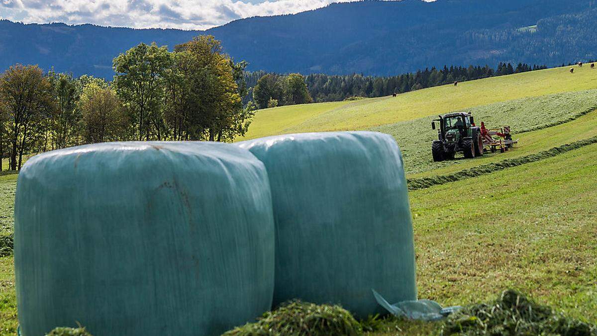 Der Anhänger war voll beladen mit Heuballen (Sujetbild)