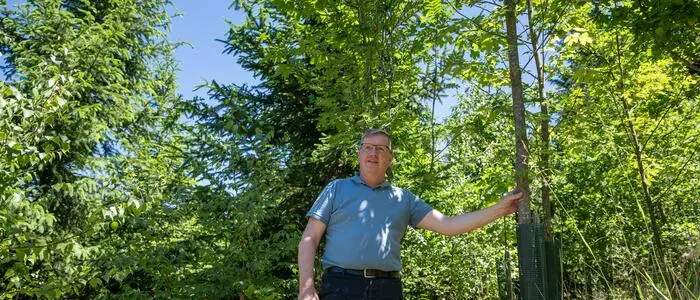 Andreas Steinegger steht auf einem mit Jungbäumen bepflanzten Hang und berührt mit seinem linken Arm den Stamm eines jungen Ahornbaums