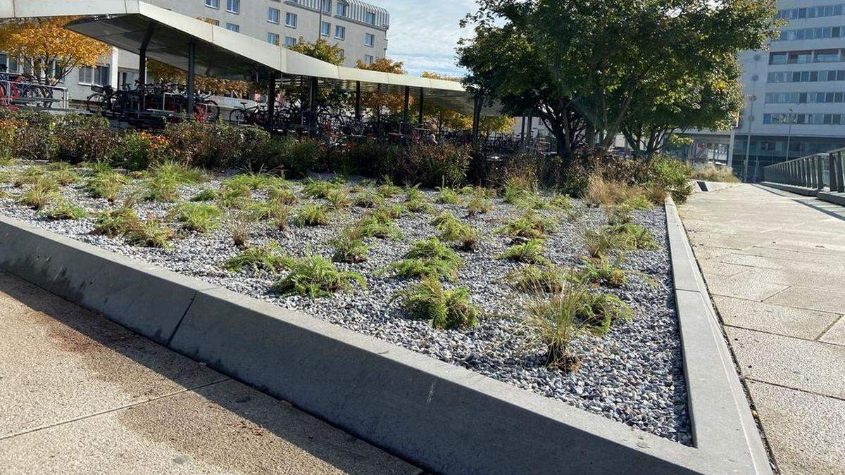 Die Pflanzenbeete vor dem Bahnhof werden saniert. Der großflächige Einsatz von Kies sorgt bei Passanten für Irritationen