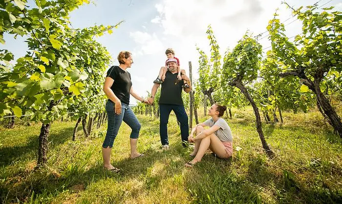Die Familie Scharl im Weingarten 