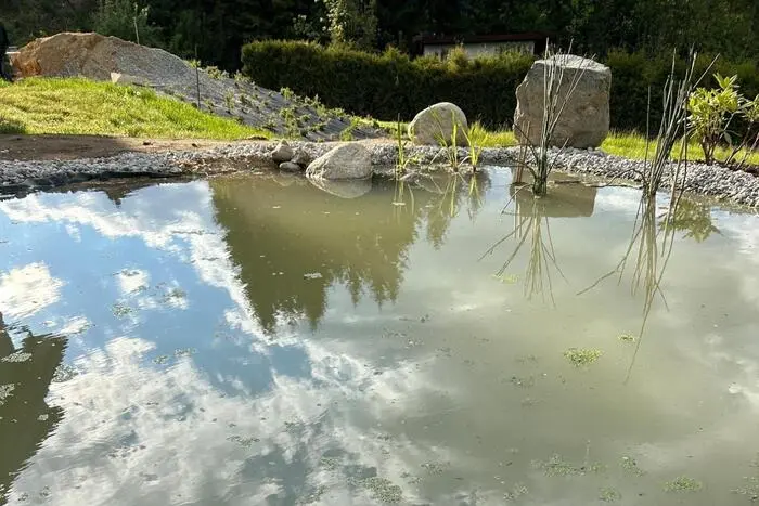 Der Amphibienteich ist ein Paradies für Frösche und Insekten