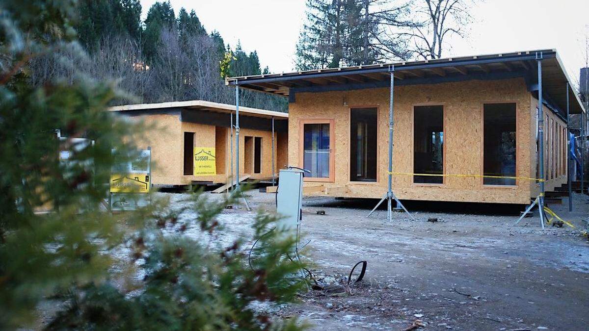 Der Rohbau des Tierheims in der Lienzer Pfister ist mit einem Firstbaum verziert