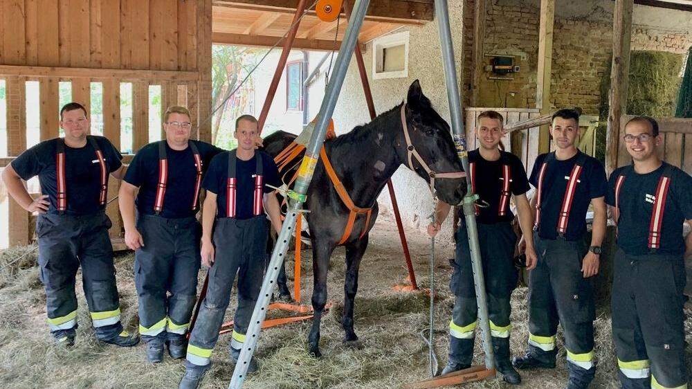 Die Feuerwehrmänner mit dem geretteten Pferd