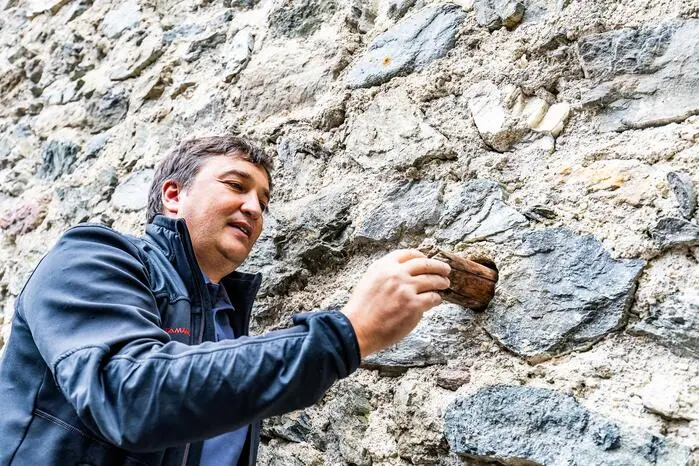 Leiter mit einem Gerüstholz aus 1220