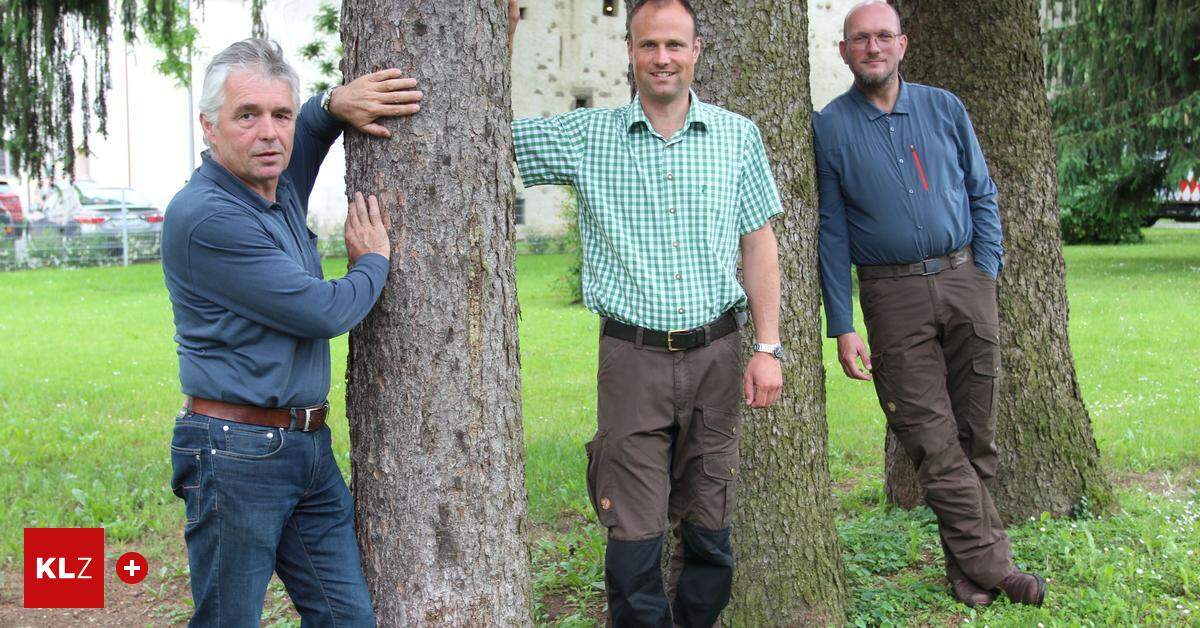 Wald Kennenlernen Waldschule Ist Gewachsen Und Führt Hunderte Schüler In Lebensraum Wald 