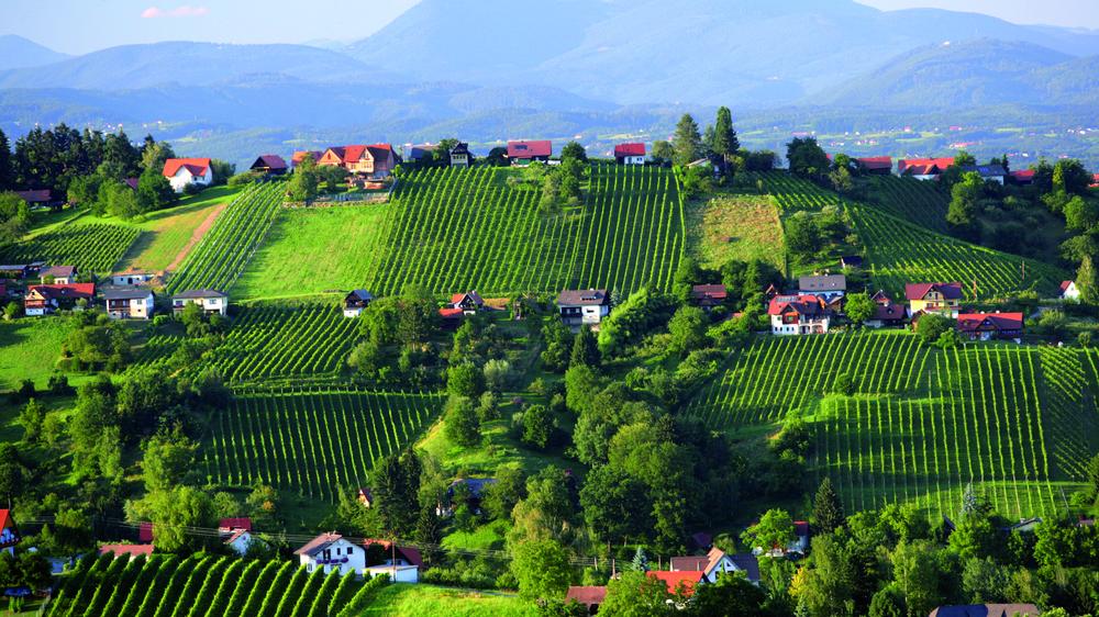 Steiermark-Tipps: Witzig, spritzig, schön – das hält der Frühling im ...