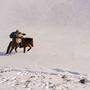 Szene aus dem Gewinnerfilm „Mongolia, Valley of the Bears“ von Hamid Sardar