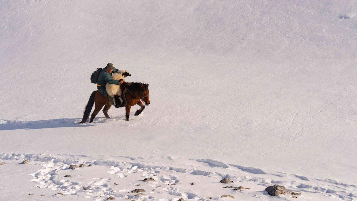 Szene aus dem Gewinnerfilm „Mongolia, Valley of the Bears“ von Hamid Sardar