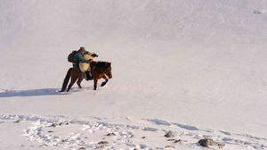 Szene aus dem Gewinnerfilm „Mongolia, Valley of the Bears“ von Hamid Sardar