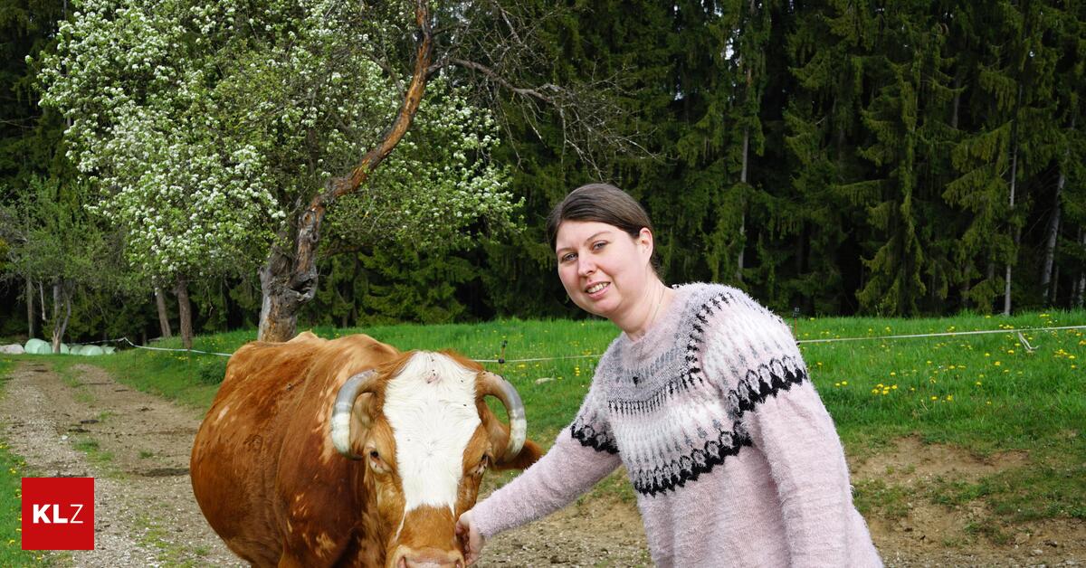 Stallhofen-Weststeirerin-sucht-Paten-f-r-die-Rettung-ihres-Gnadenhofs