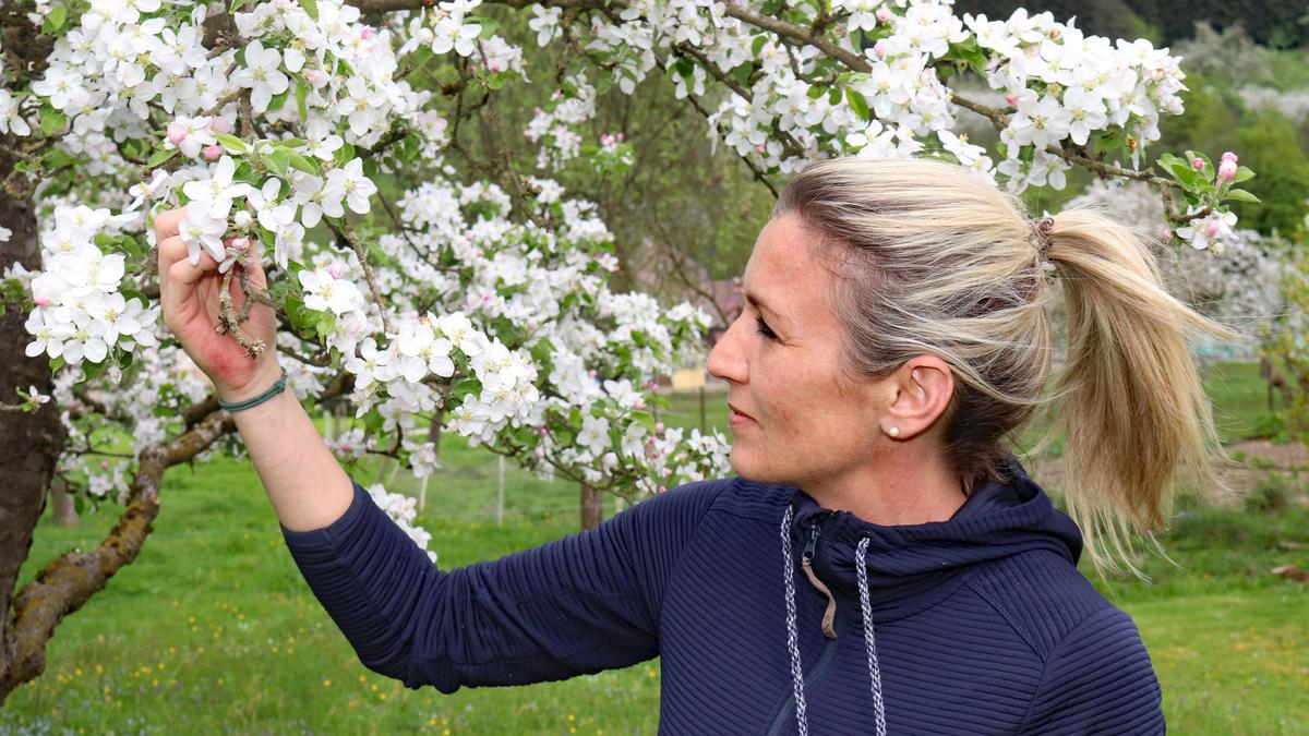 So weiß strahlten die Blüten im Obstgarten von Martina Köstinger vor dem Frost. 