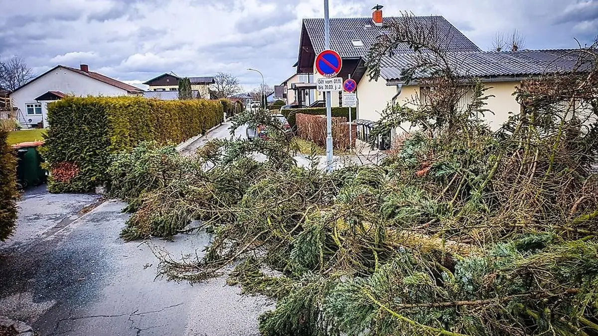 Die Feuerwehr Mooskirchen musste wegen Sturmtief "Petra" zu drei Einsätzen ausrücken
