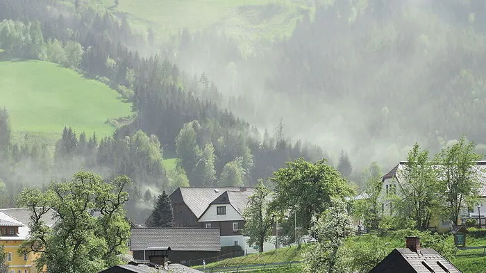Blütenstaubwolken (wie hier in Pruggern) sind derzeit allerorts zu sehen