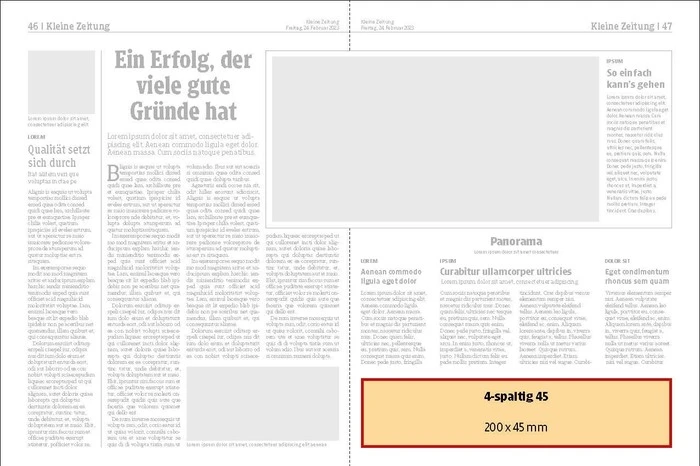 Inserat 4-spaltig 45, 200 x 45 mm