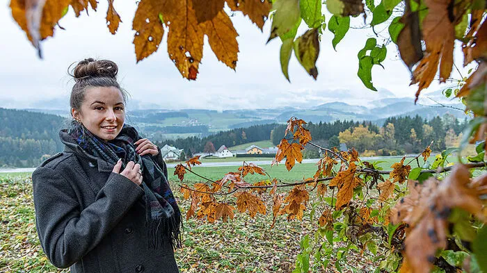Der heutige Herbsttag lädt zu ausgedehnten Spaziergängen ein