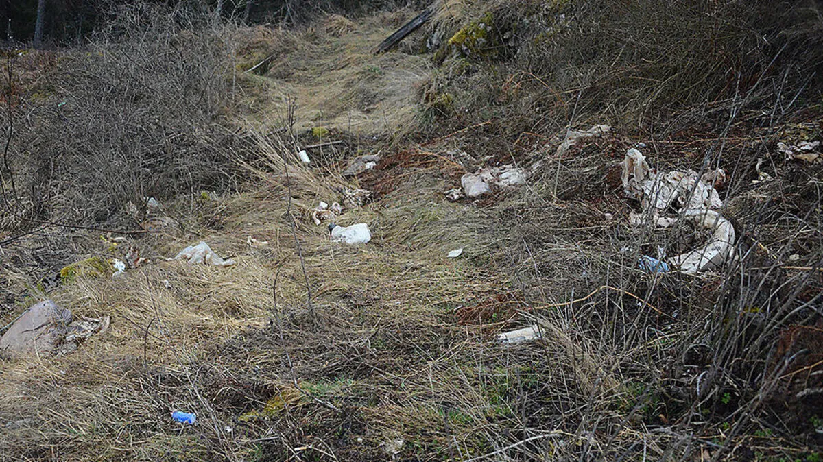 Fleischreste wurden neben dem zweiten Parkplatz entsorgt