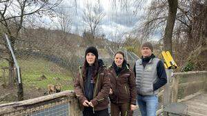 Anna Zisser, Nathalie Rassi und Reinhard Pichler trauern um die Löwenbrüder