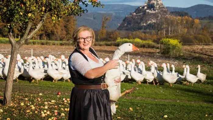 Eine Frau hält eine Gans in den Händen. Im Hintergrund sieht man viele Gänse und die Burg Hochosterwitz.