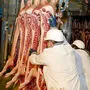 Schlachthof in Klagenfurt wurde wegen Tierquälerei angezeigt (Archivfoto)