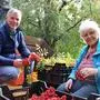 Michael Graf und Mutter Rosi beim Entlauben der Vogelbeer-Dolden. 