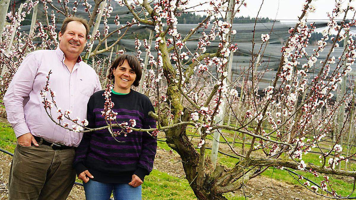 Die Obstbauern Dietmar und Johanna Kainz in ihrem Marillengarten