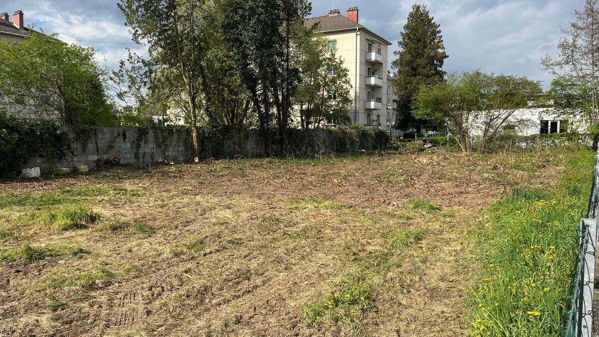 Dieses gerodete Grundstück hinter dem Eurospar in Gleisdorf sorgt für Diskussionen bei den Anrainern