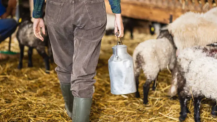 Landwirte haben ein höheres Suizidrisiko