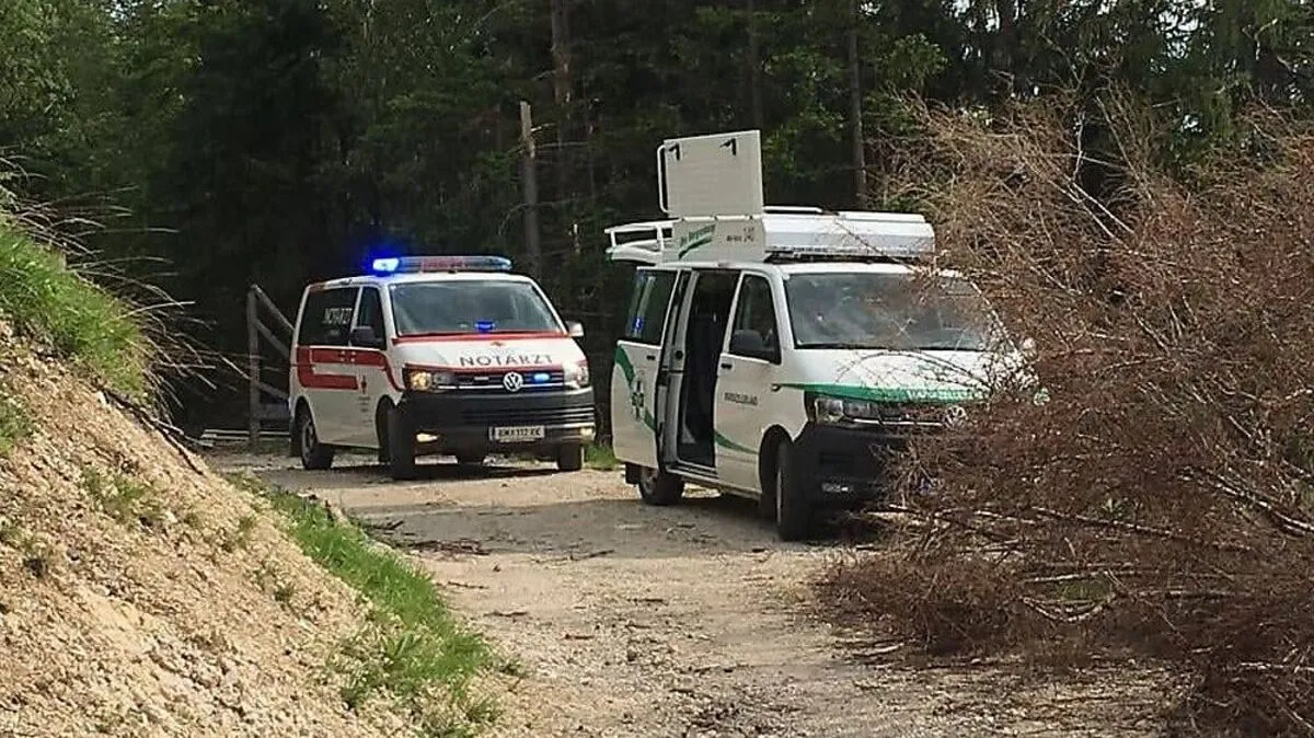 Im Einsatz standen das Rote Kreuz Mariazellerland mit einer Notärztin, vier Sanitätern, die Bergrettung Mariazellerland mit fünf Mann sowie die Exekutive
