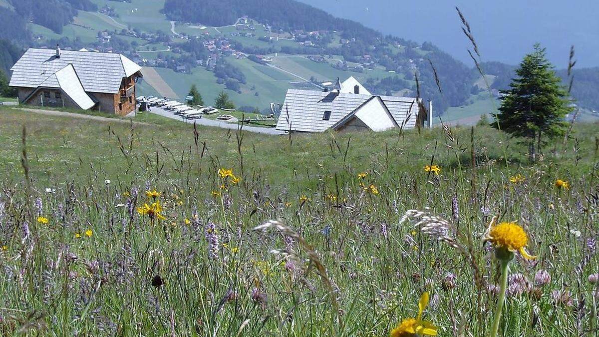 Ihre Blumenwiesen bei der Alexanderhütte bringen Ursula und Franz Glabischnig viel Freude und nun einen Orden