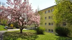 Im Haus in der Billrothgasse haben 95 Studierende Platz
