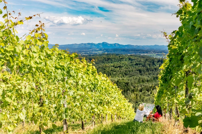 Durch die Schilcherregion wandern ist wie ein Rendezvous mit der Natur
