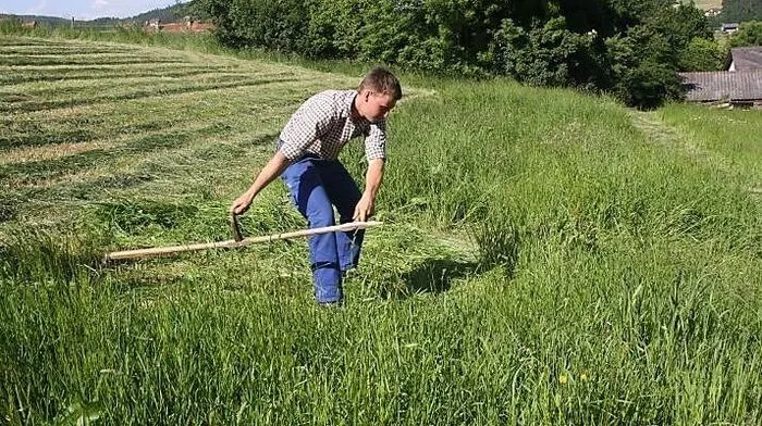 Die Landjugend sucht den schnellsten Sensenmäher
