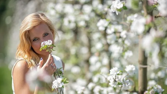Der meteorologische Frühling (März, April, Mai) ist mit einer Abweichung von 2,0 °C zum Mittel der zweitwärmste Frühling der Messgeschichte