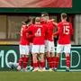 Das ÖFB-Team jubelte über das 1:0 von Marcel Sabitzer