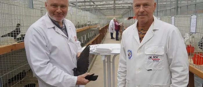 Gerhard Meier (r.) ist Zuchtwart des Vereins und Preisrichter für Tauben, hier am Bild mit einem Bewerter-Kollegen