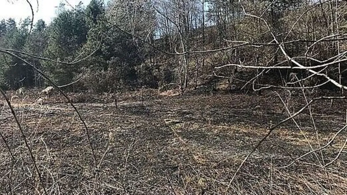 Auch dieser Brand soll auf das Konto des ehemaligen Feuerwehr-Kommandanten gehen