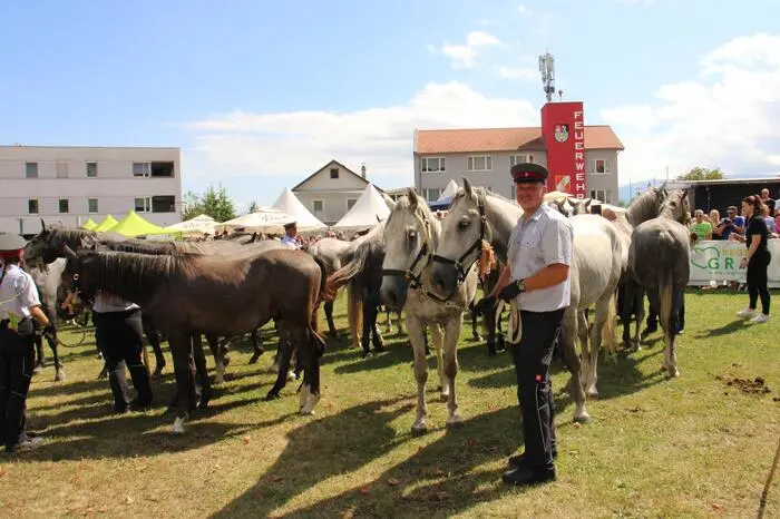 Klicken Sie sich durch die Stationen das Almabtriebs der Lipizzaner in Maria Lankowitz.